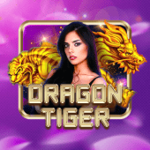 Dragon Tiger Jili 56 App